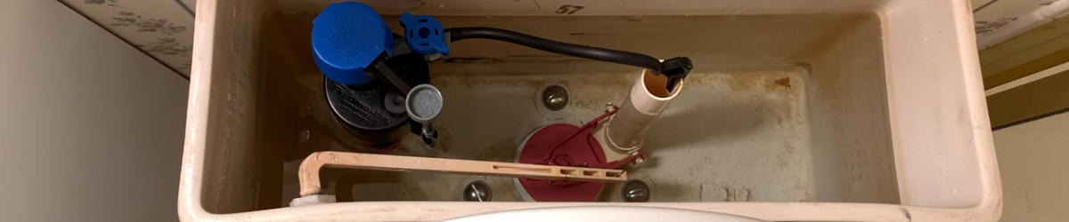 View of the inside of a toilet tank against rosebud wallpaper