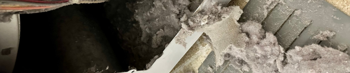 an inch of lint buildup inside the back of a clothes dryer